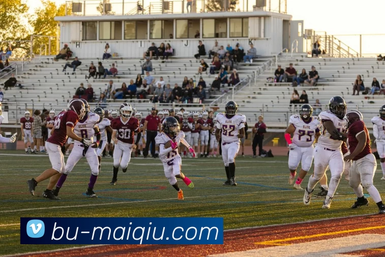 足球赛事分析平台生态图